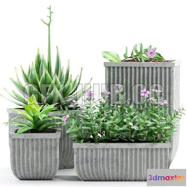 1203784 - FURNITURE 3D MODELS - Plants 209