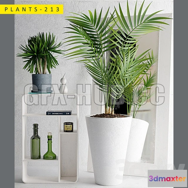 1203786 - FURNITURE 3D MODELS - Plants 213 with palm