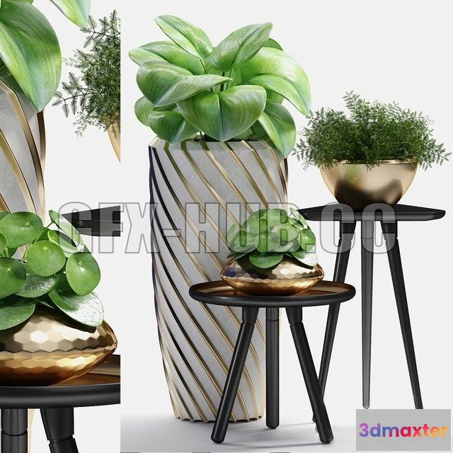1203788 - FURNITURE 3D MODELS - Plants 217