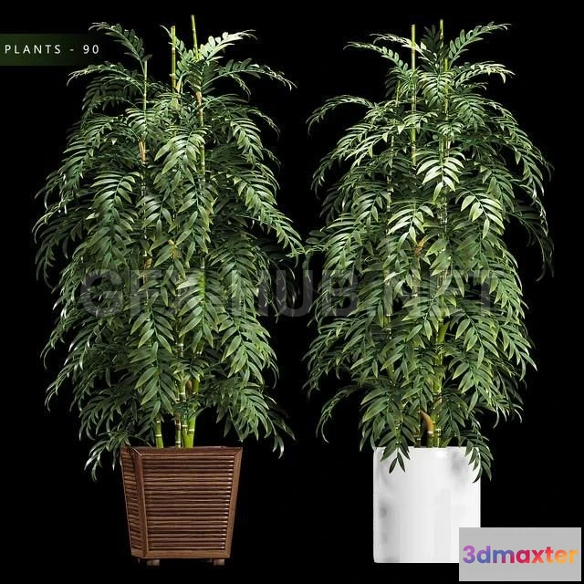 1203792 - FURNITURE 3D MODELS - PLANTS 90