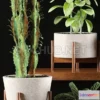 1203794 - FURNITURE 3D MODELS - PLANTS 98