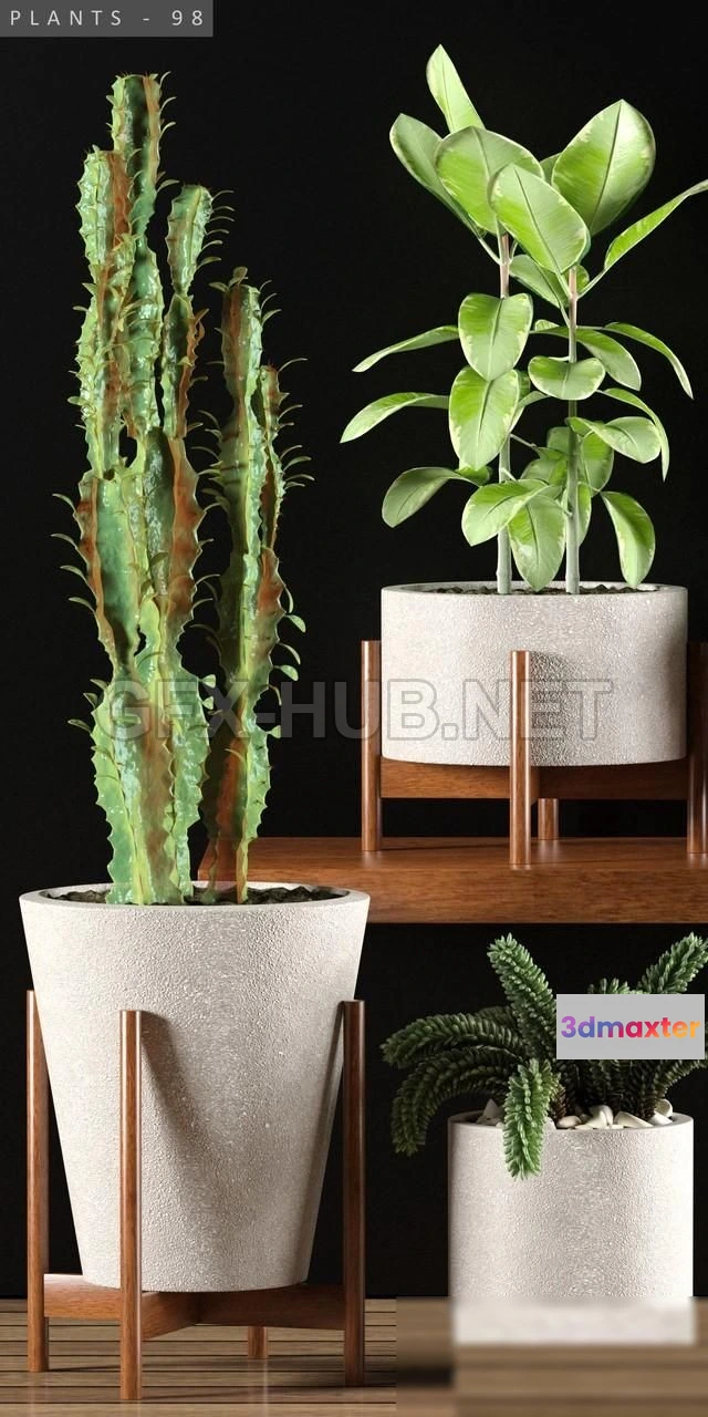 1203794 - FURNITURE 3D MODELS - PLANTS 98