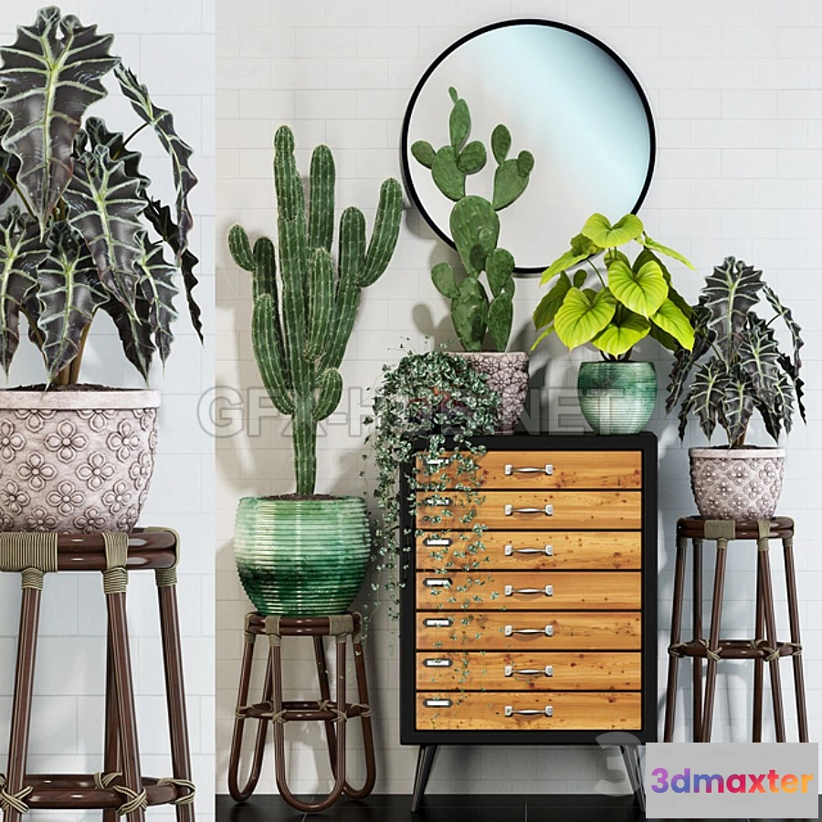 1203800 - FURNITURE 3D MODELS - Plants collection 123