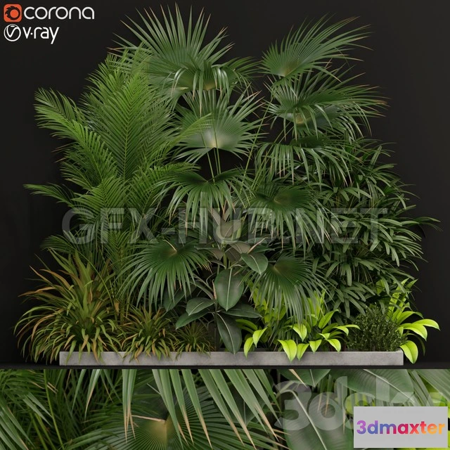 1203810 - FURNITURE 3D MODELS - Plants collection 197