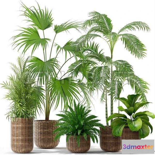 1203818 - FURNITURE 3D MODELS - Plants collection 338