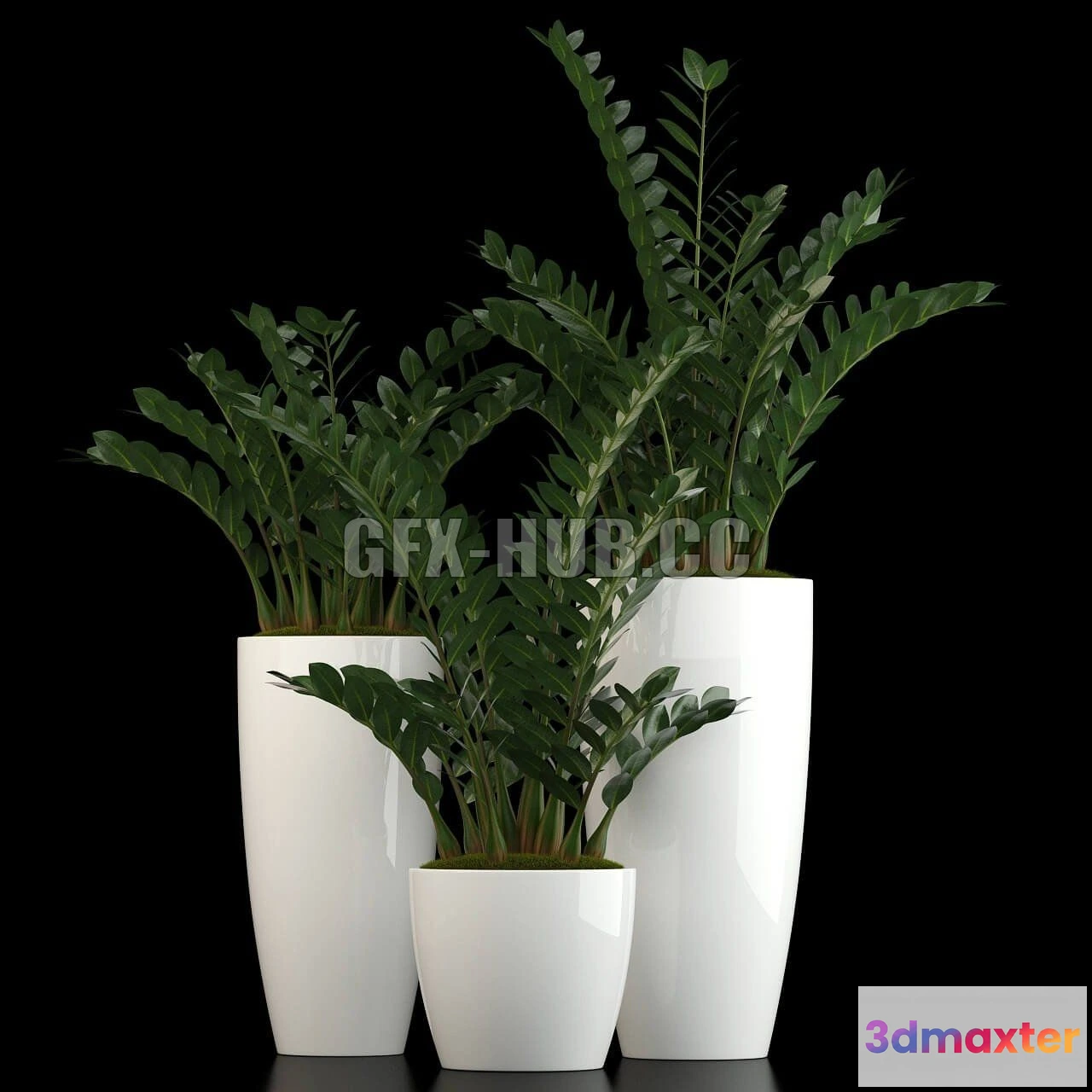 1203820 - FURNITURE 3D MODELS - Plants collection 56