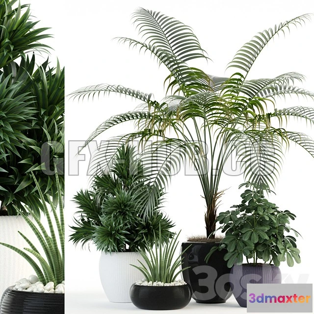1203822 - FURNITURE 3D MODELS - Plants Collection 86