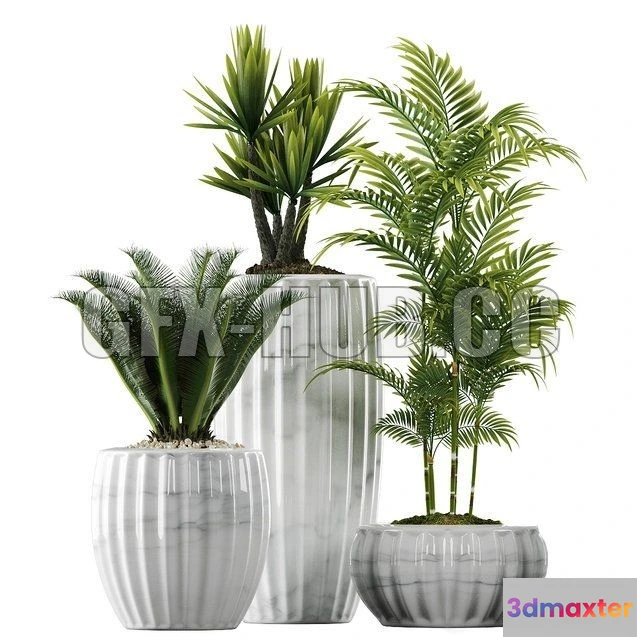 1203828 - FURNITURE 3D MODELS - Plants in Pots 140