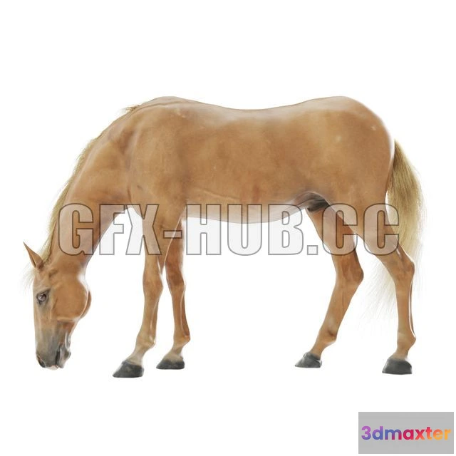 1203982 - FURNITURE 3D MODELS - Red Grazing Horse