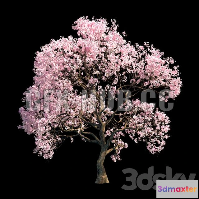 1204158 - FURNITURE 3D MODELS - Sakura 9