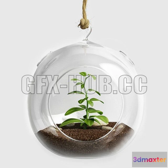 1204706 - FURNITURE 3D MODELS - Terrarium for herbs