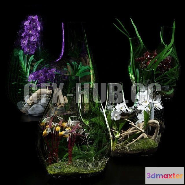 1204708 - FURNITURE 3D MODELS - Terrarium vases with Orchids