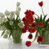 1204850 - FURNITURE 3D MODELS - Tulips 01