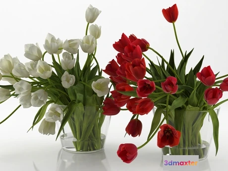 1204850 - FURNITURE 3D MODELS - Tulips 01