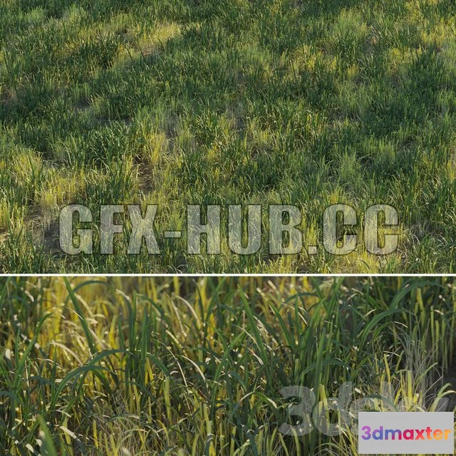 1204902 - FURNITURE 3D MODELS - Uncut Forest Grass Collection 03