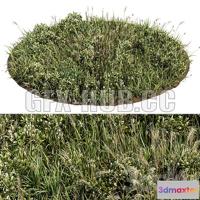 1205118 - FURNITURE 3D MODELS - Wild Grass Green Grass Set 01