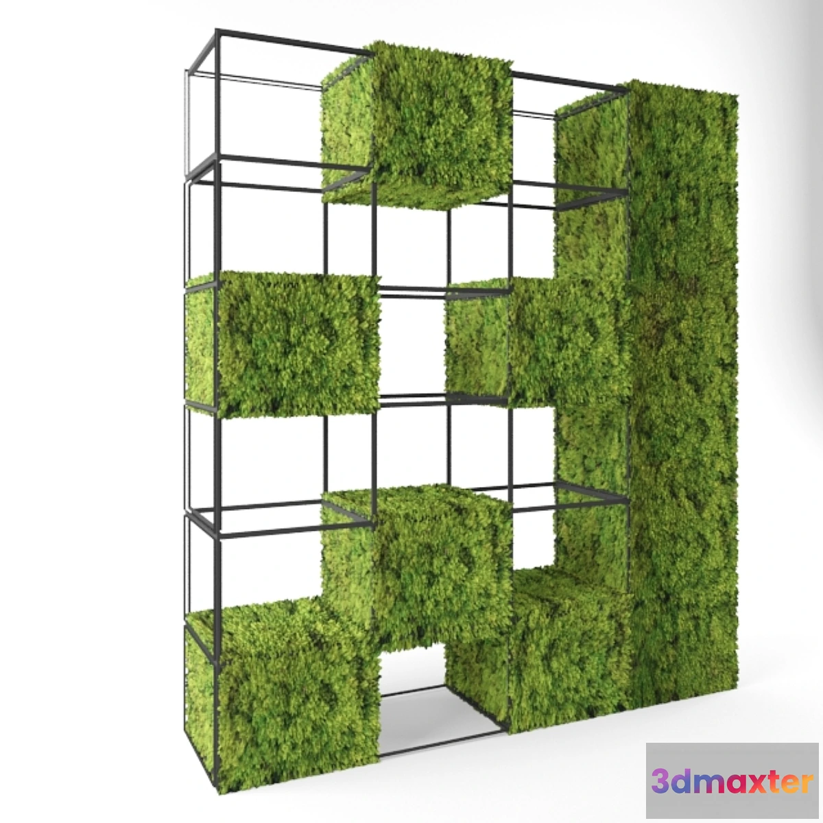 1281300 - moss shelves 3D Max