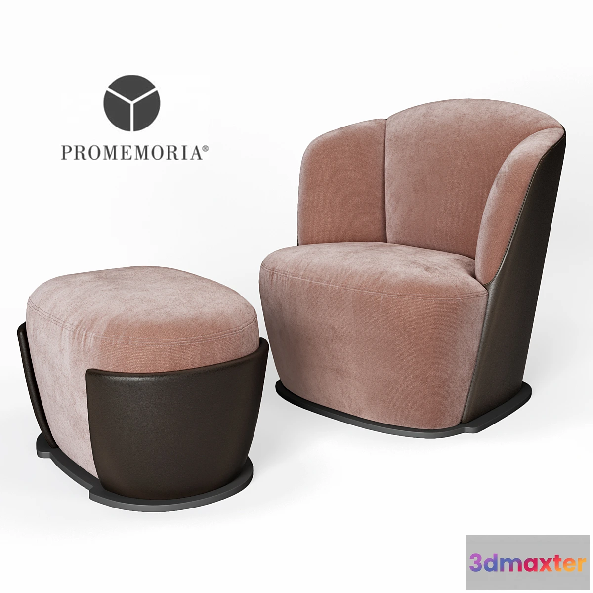 1281258 - PROMEMORIA Rosaspina 3D Max