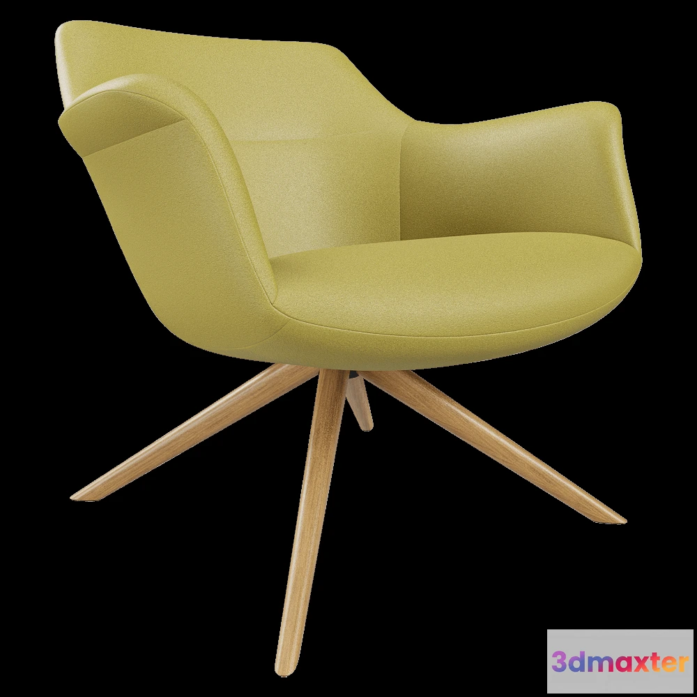 1609732 - B&T Design - Lounge chair Rego 3D Max