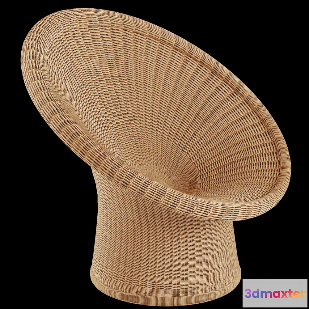 1610884 - RICHARD LAMPERT - Armchair E10 3D Max