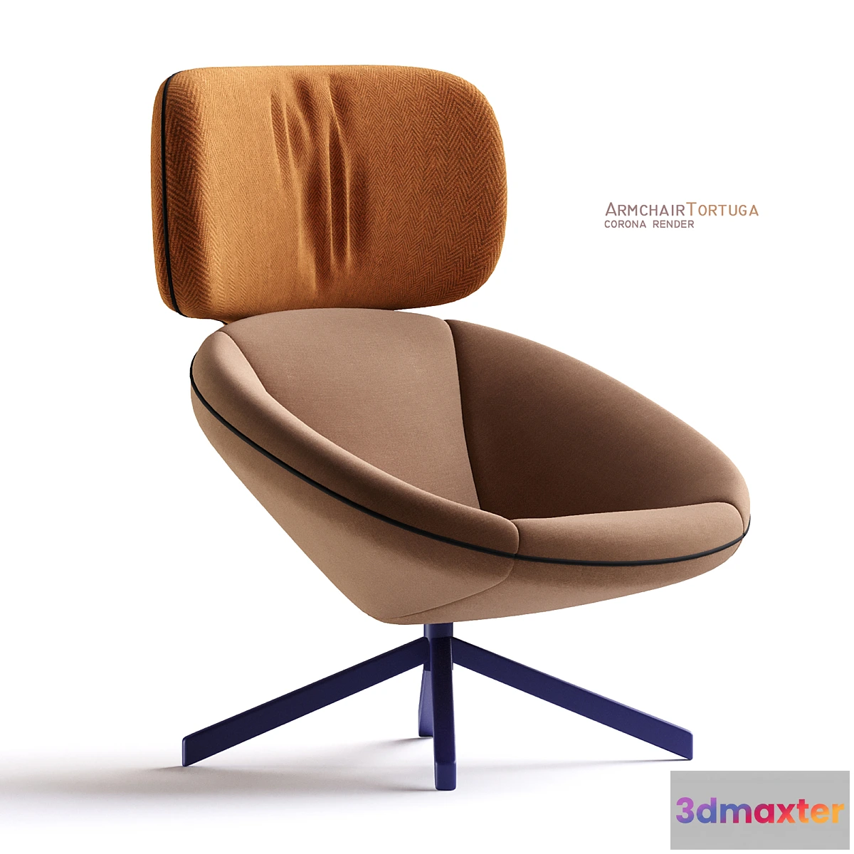 595731 - Armchair tortuga