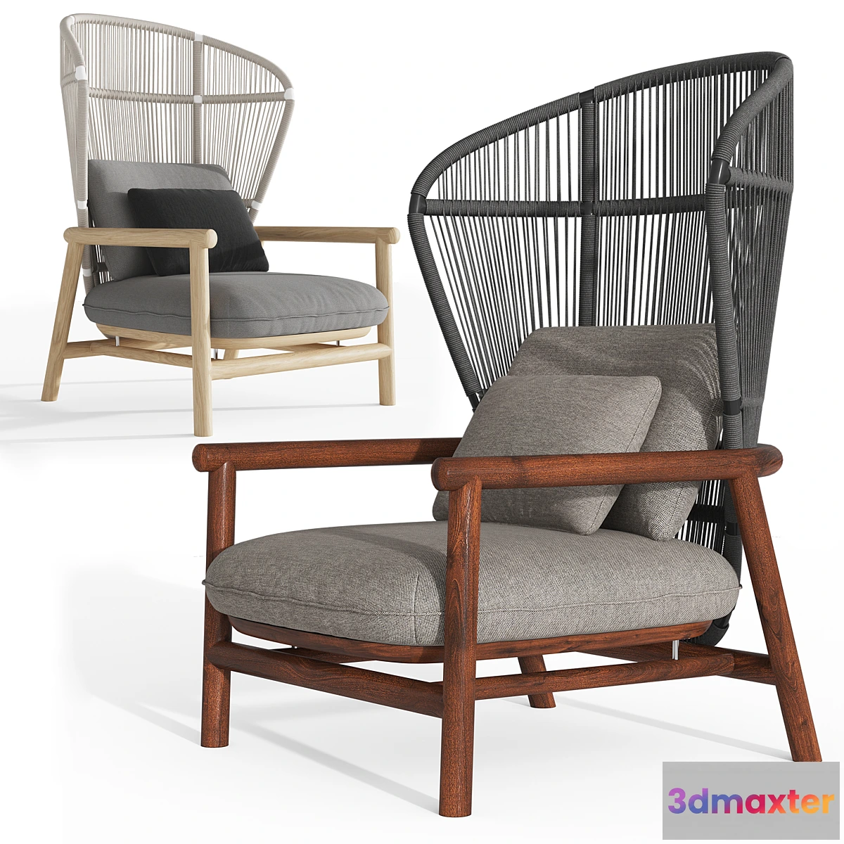 691272 - Gloster fern