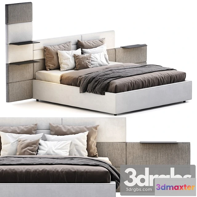 1027010 - Felis sommy big