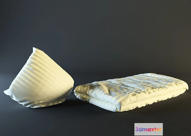 1560430 - Blanket + pillow 3D Max