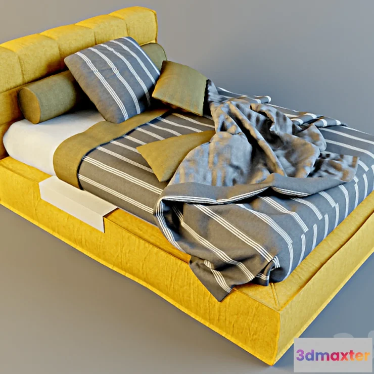 621143 - Halley _ JASPER