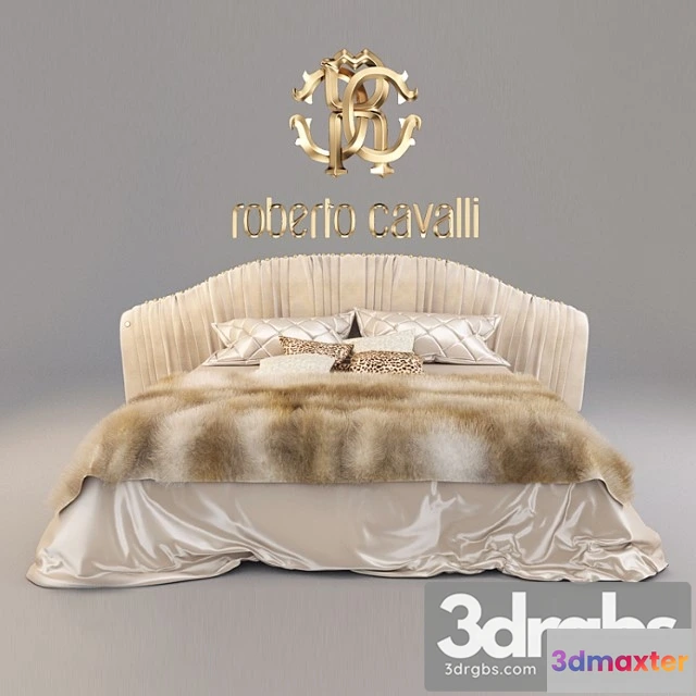 944044 - Roberto Cavalli Sharpei 1