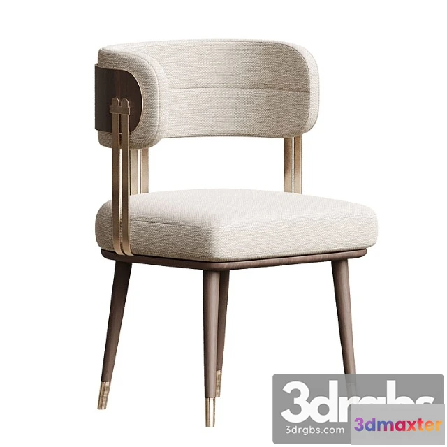 1028350 - Chair cricet dinner