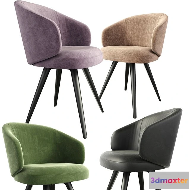 1567054 - Lema Dining Chair With Solid Base 3D Max