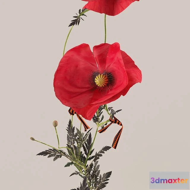 1568342 - Poppies (Poppies) 3D Max
