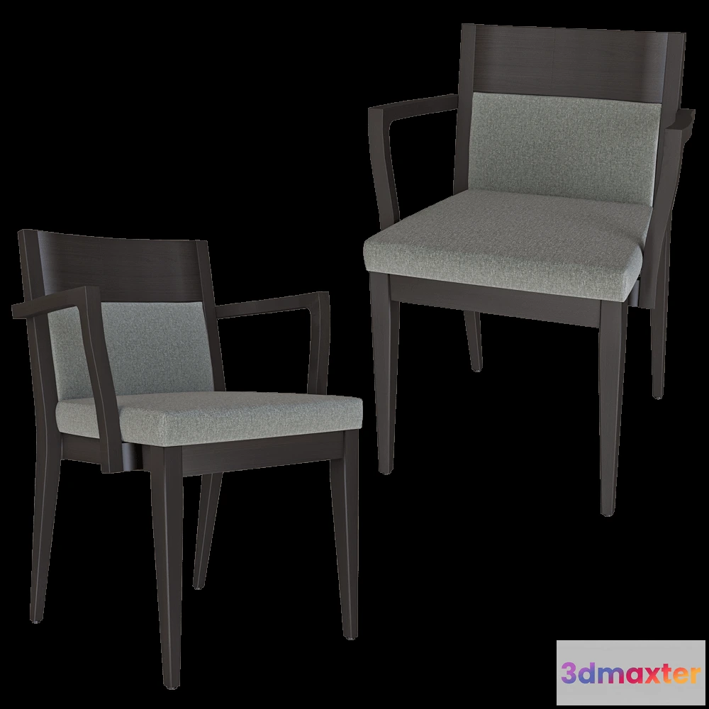 1618276 - Accento SRL  - Chair Aloe 3D Max