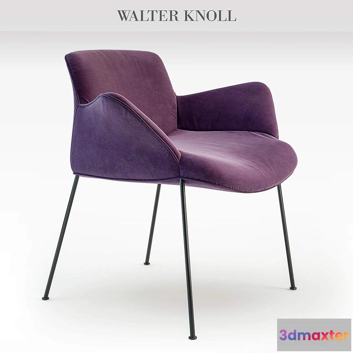 587384 - Walter Knoll chair BURGAZ