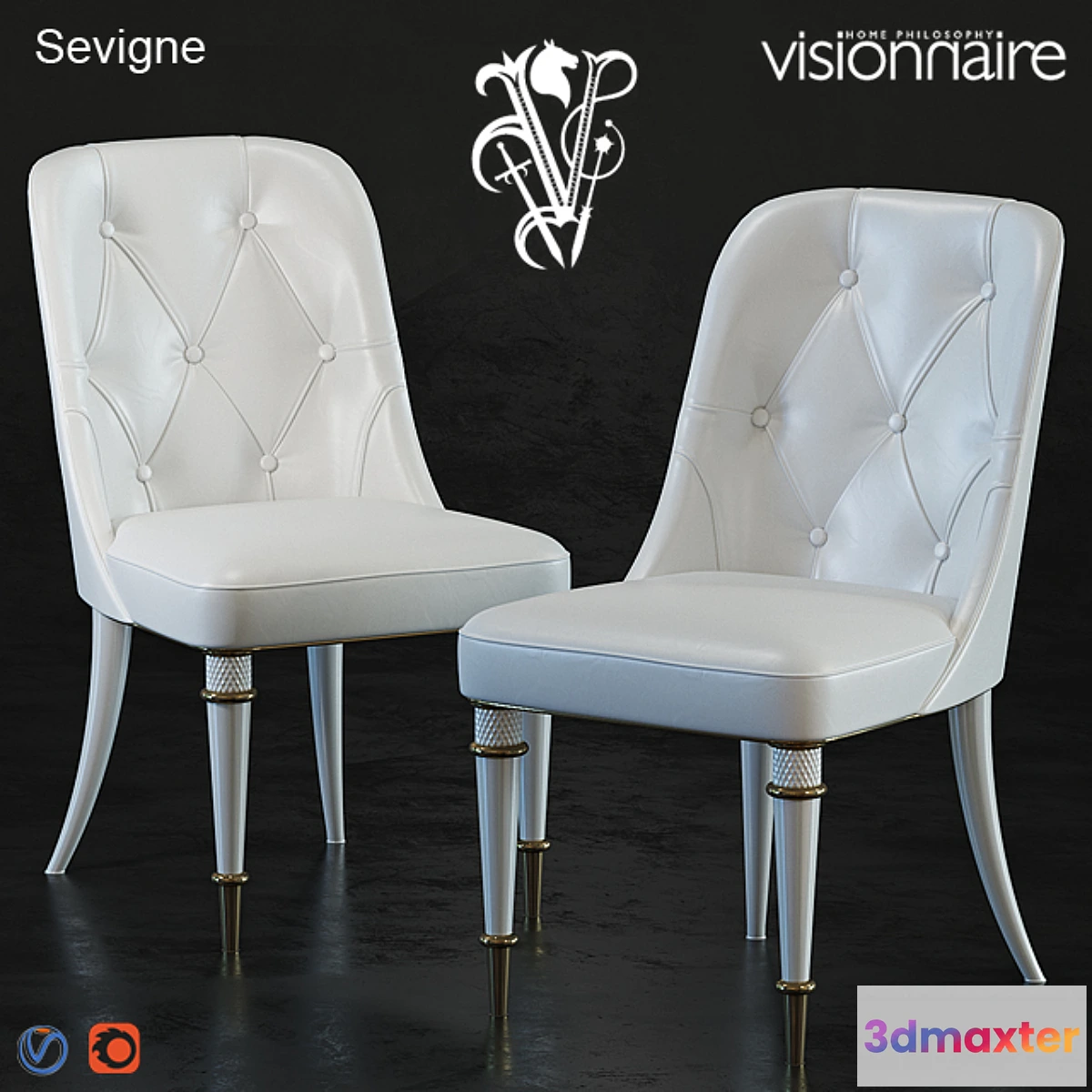 666103 - VISIONNAIRE Sevigne