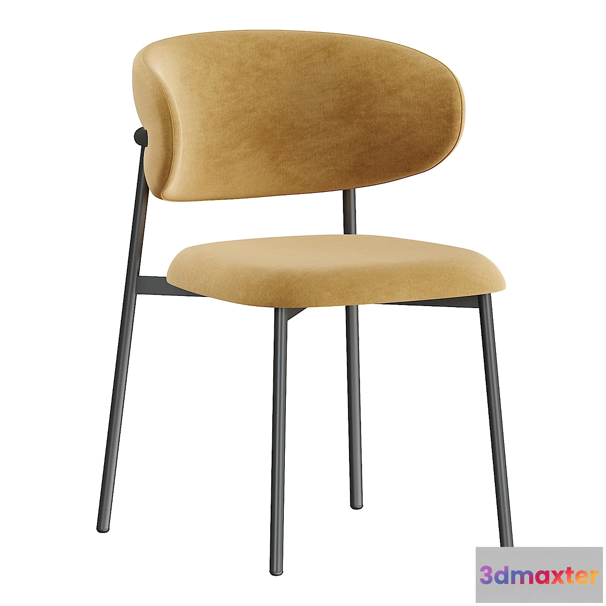 758931 - Potocco Olenadro dining chair - No.2