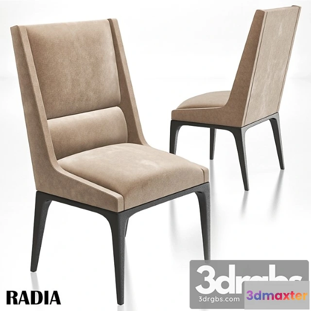 945220 - AXIS Radia Dining Chair