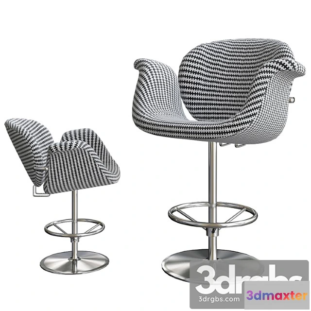 948516 - Little Tulip 1