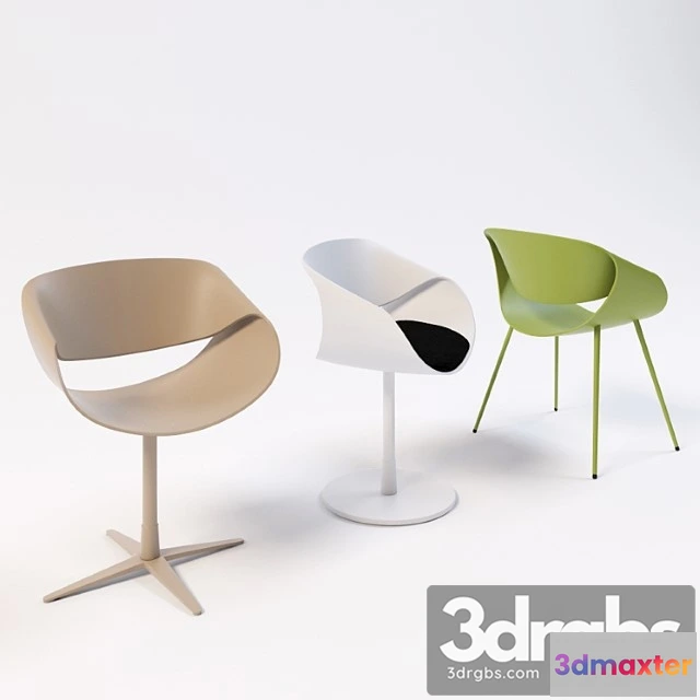 950976 - Zuco little perillo 2