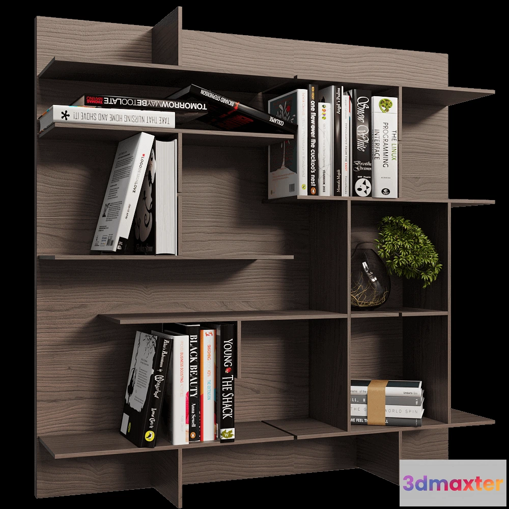 1628180 - Pacini & Cappellini  - Modular wall bookcase Maze 3D Max
