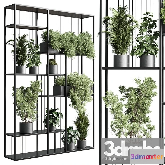 957120 - Standing Metal Shelf With A Set Of Plants In Concrete And Metal Boxes 325