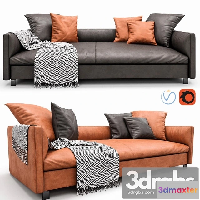 1036248 - Molteni lucas