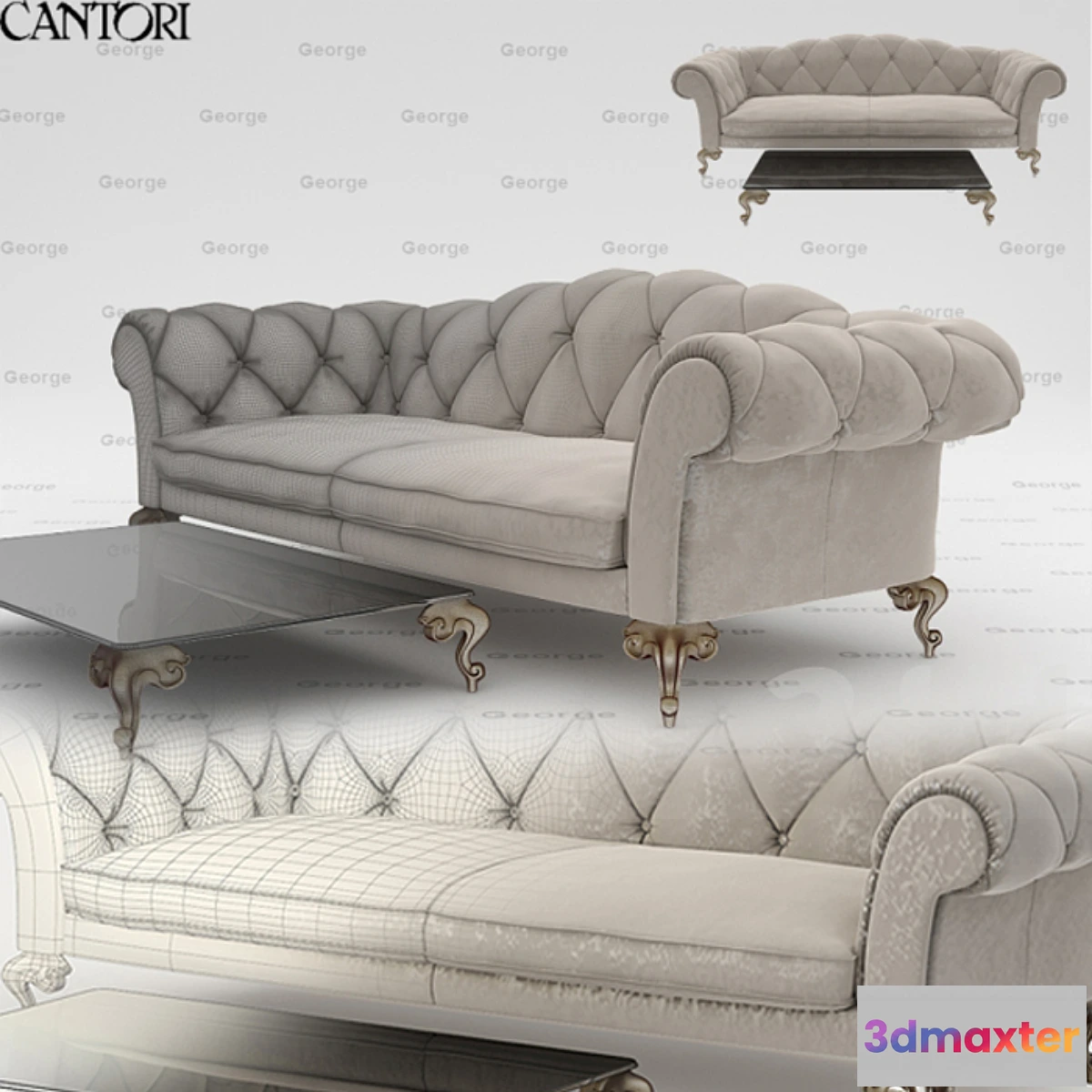 1280608 - Cantori _ George 3D Max