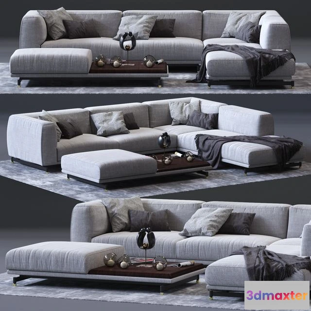 1556999 - DITRE ITALIA St. Germain Leather Sofa 3D Max