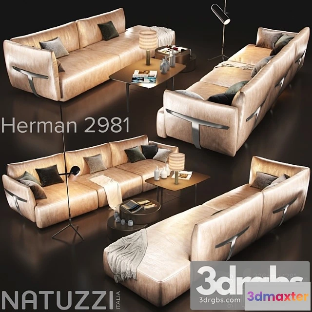 966890 - Sofa natuzzi herman 2