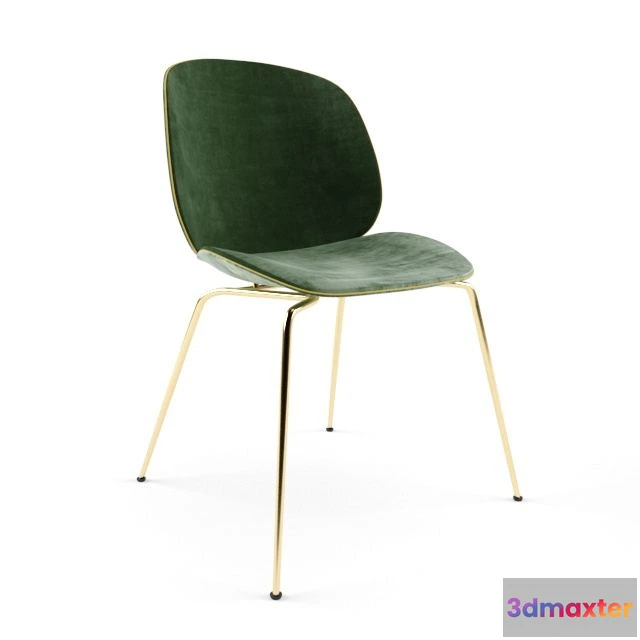 1562650 - Gubi beetle 3D Max