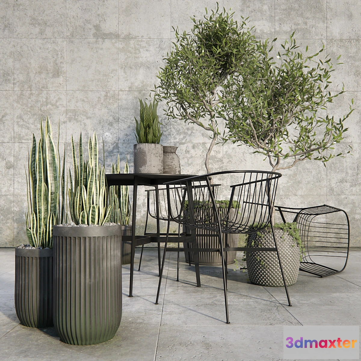 585142 - Outdoor_plant_set
