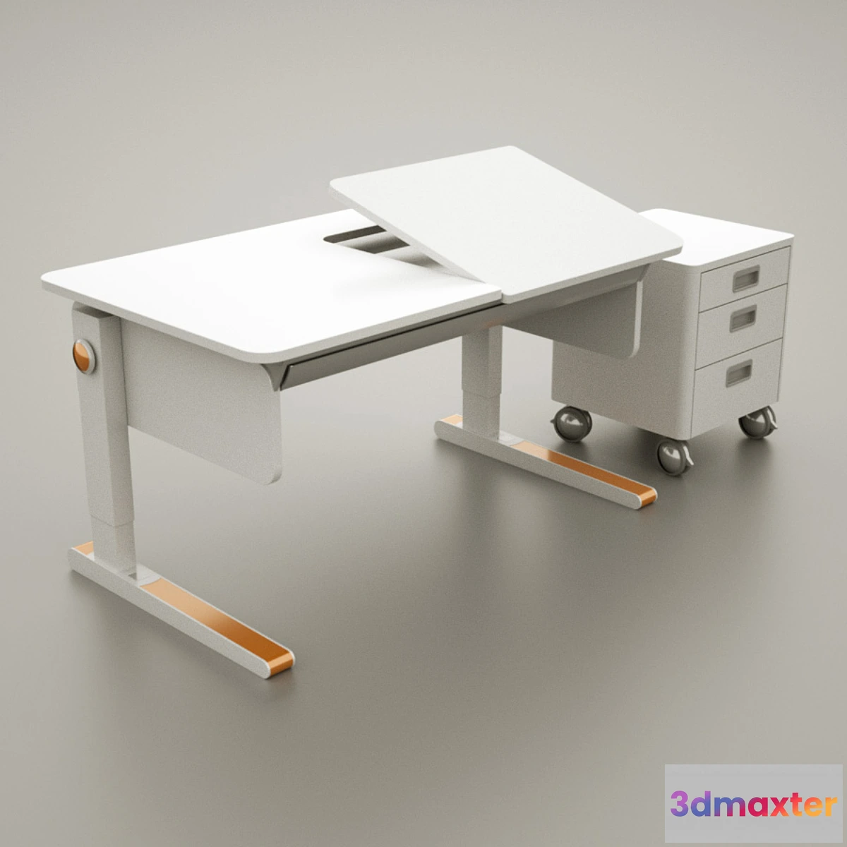 810428 - PARTA moll Champion