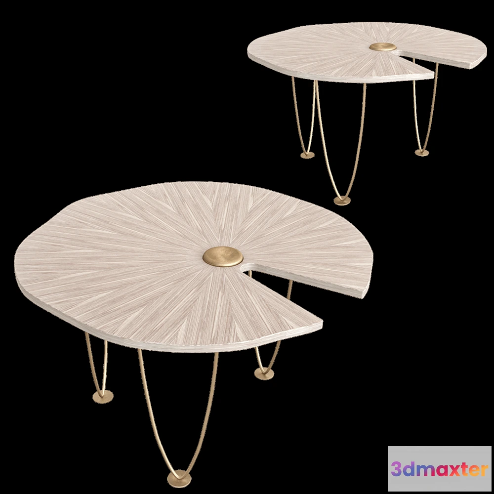 1637332 - BOLLU - Table WATER LILY CT002 3D Max